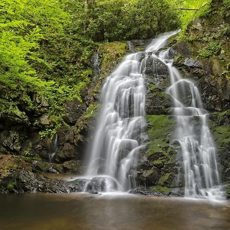 Highland Dream, Hot Tub, 1089 Free Tickets Each Paid Day, Dollywood And More セバービル エクステリア 写真