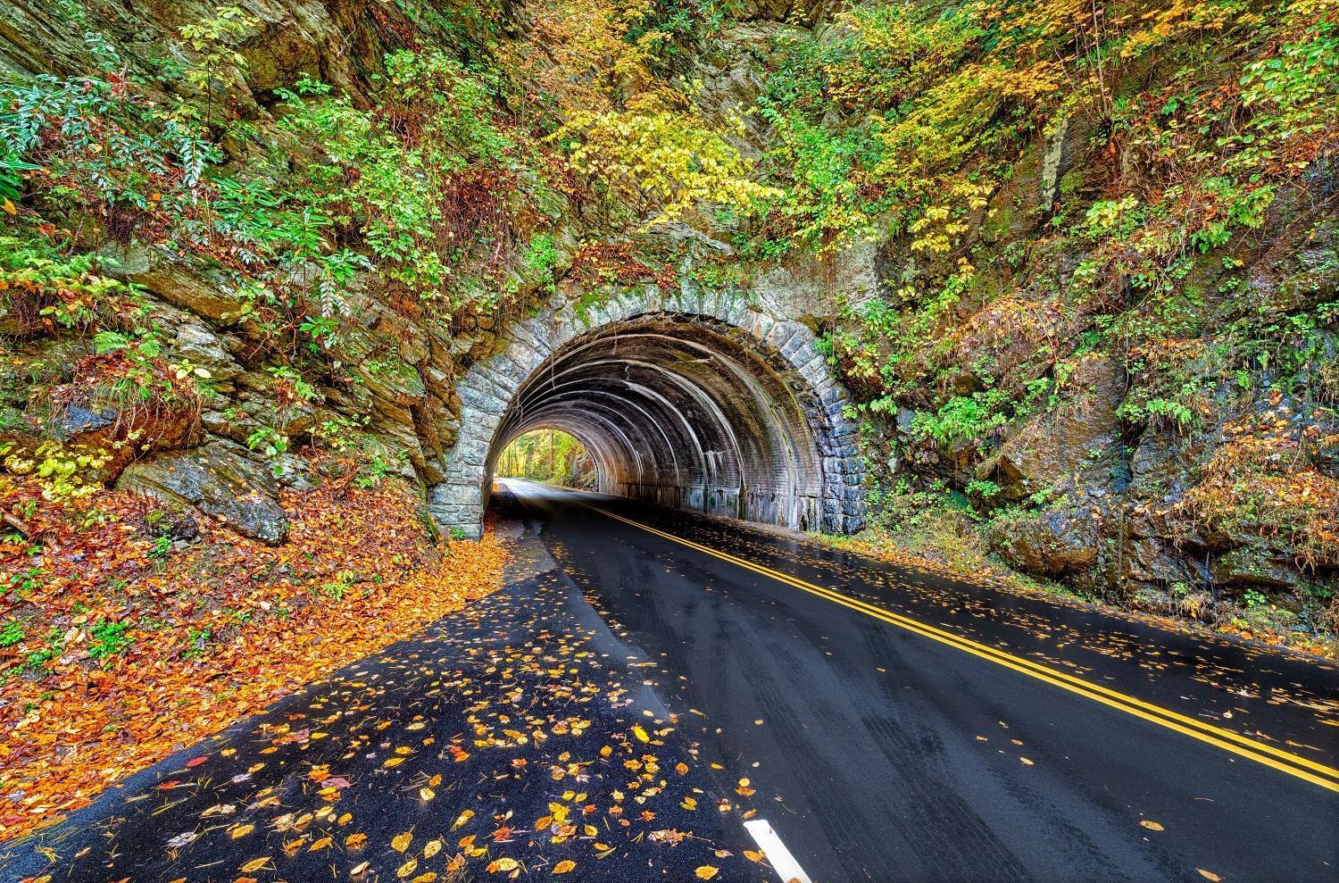 Highland Dream, Hot Tub, 1089 Free Tickets Each Paid Day, Dollywood And More セバービル エクステリア 写真