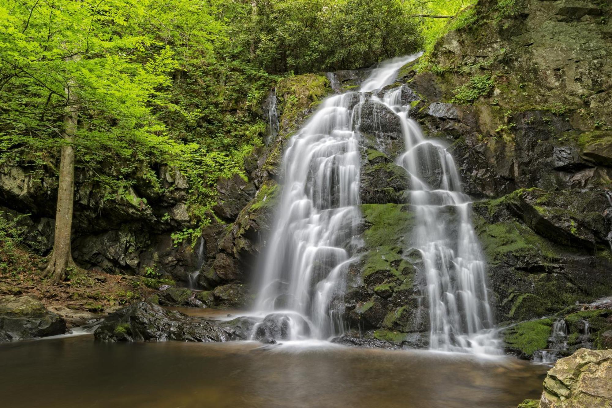 Highland Dream, Hot Tub, 1089 Free Tickets Each Paid Day, Dollywood And More セバービル エクステリア 写真