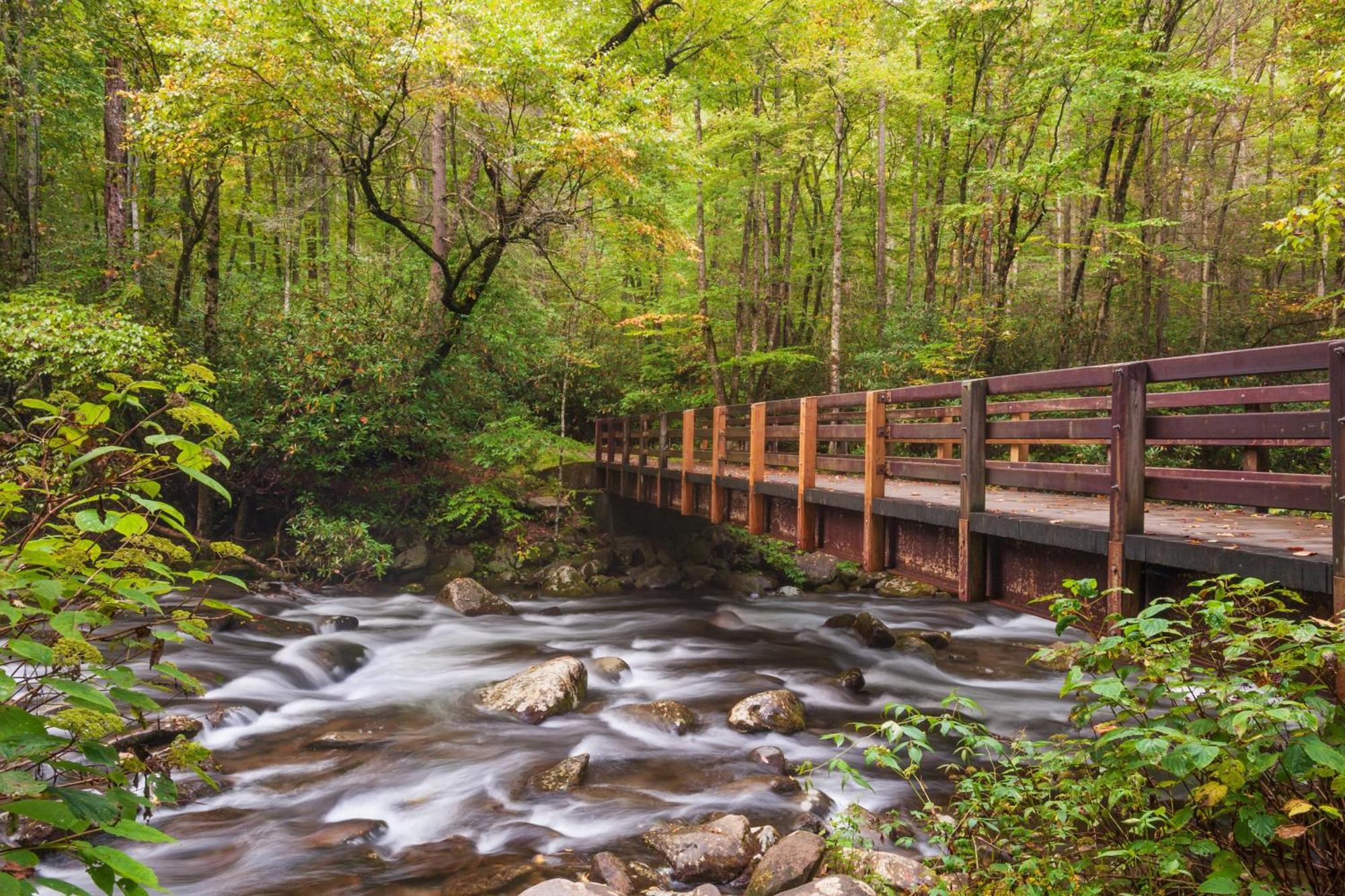 Highland Dream, Hot Tub, 1089 Free Tickets Each Paid Day, Dollywood And More セバービル エクステリア 写真